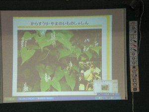 1年 生活「秋の草木」