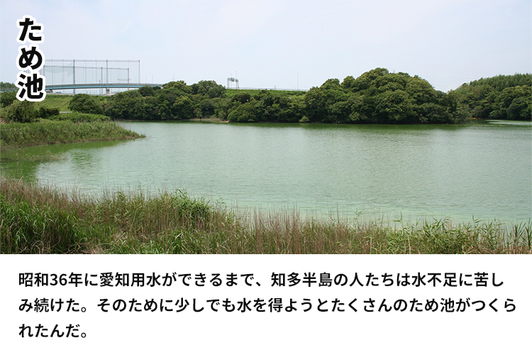 ため池　昭和36年に愛知用水ができるまで、知多半島の人たちは水不足に苦しみ続けた。そのために少しでも水を得ようとたくさんのため池がつくられたんだ。