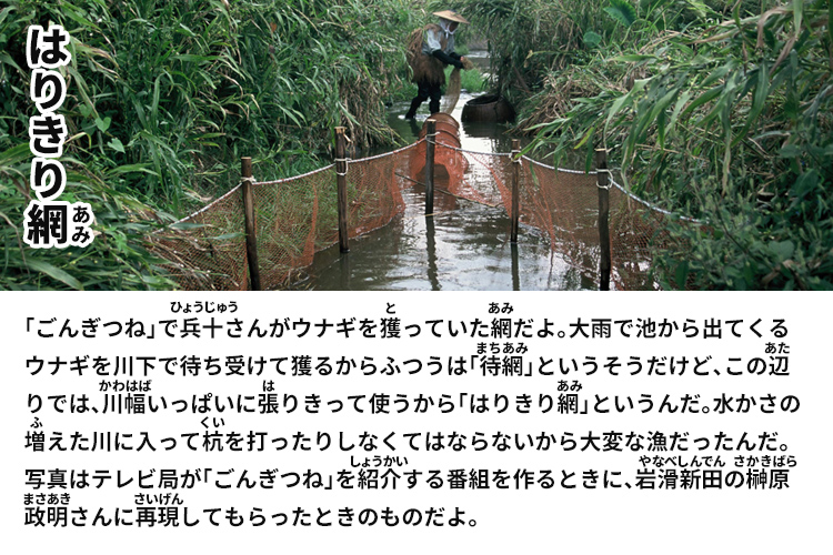 はりきり網　「ごんぎつね」で兵十さんがウナギを獲っていた網だよ。大雨で池から出てくるウナギを川下で待ち受けて獲るからふつうは「待網」というそうだけど、この辺りでは、川幅いっぱいに張りきって使うから「はりきり網」というんだ。水かさの増えた川に入って杭を打ったりしなくてはならないから大変な漁だったんだ。写真はテレビ局が「ごんぎつね」を紹介する番組を作るときに、岩滑新田の榊原政明さんに再現してもらったときのものだよ。